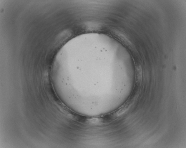 X0000076060269200610152210