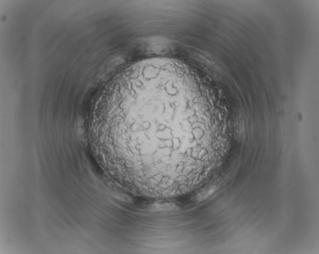 X0000076060270200610152210