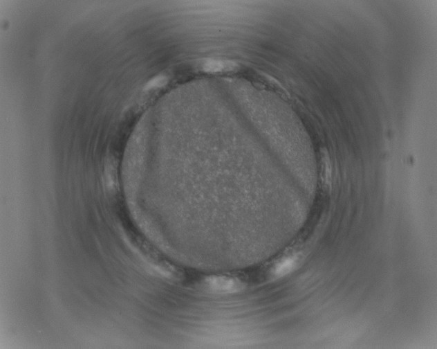 X0000076060272200610152210