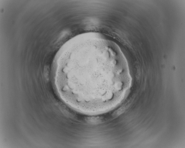 X0000076060273200610152210