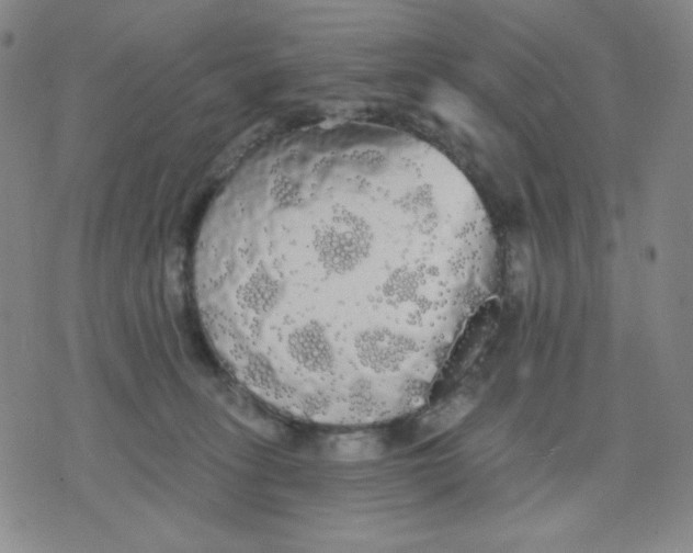 X0000076060275200610152210