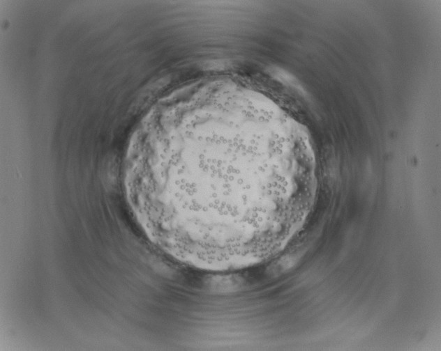 X0000076060277200610152210