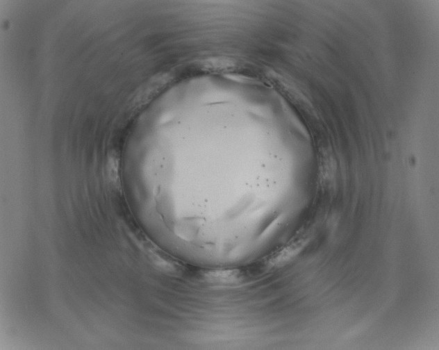 X0000076060281200610152210