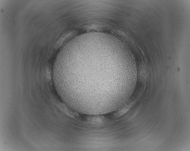 X0000076060282200610152210