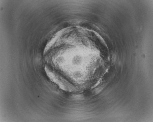 X0000076060283200610152210