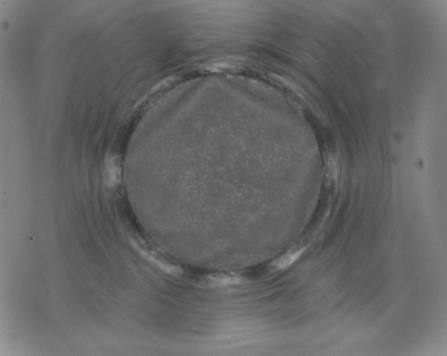 X0000076060284200610152210