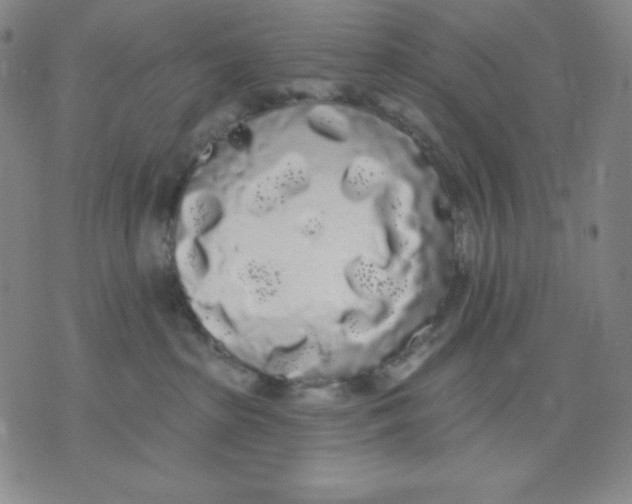 X0000076060285200610152210