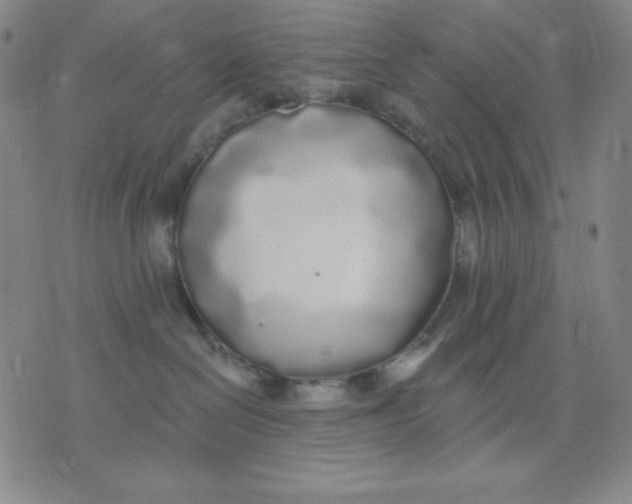 X0000076060286200610152210