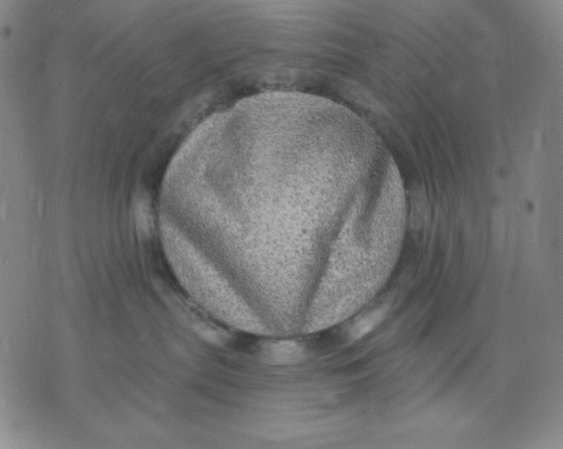 X0000076060287200610152210