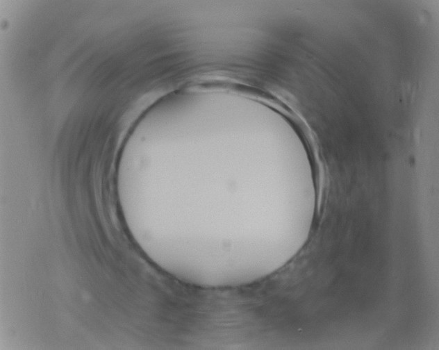 X0000076060289200610152209