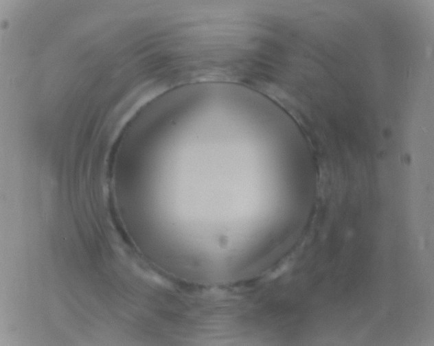 X0000076060290200610152209