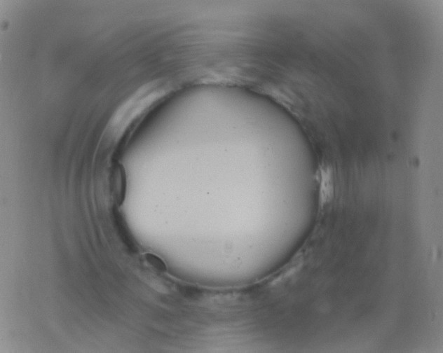 X0000076060291200610152209