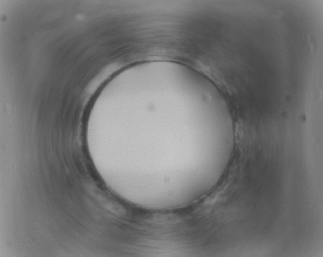 X0000076060292200610152209