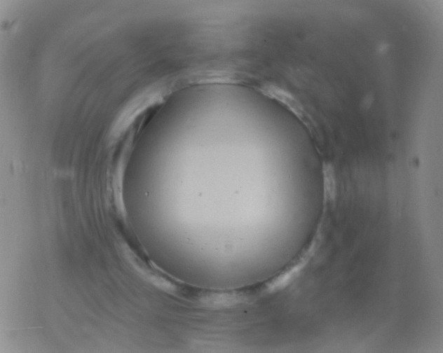 X0000076060293200610152209