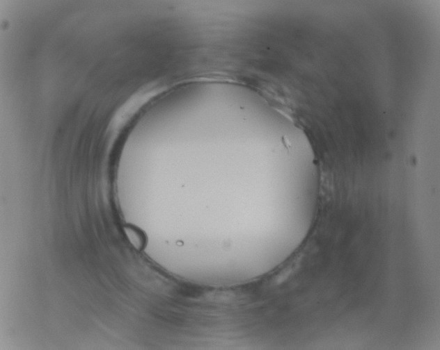 X0000076060294200610152209