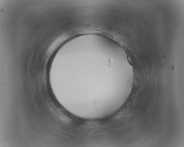 X0000076060296200610152209