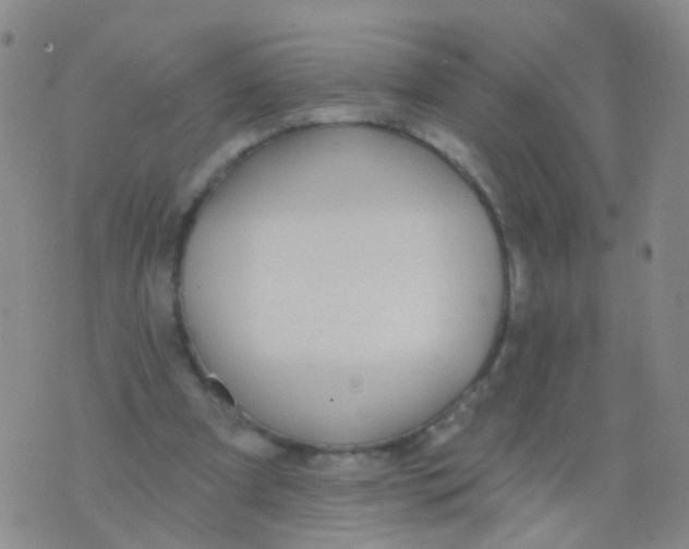 X0000076060297200610152209