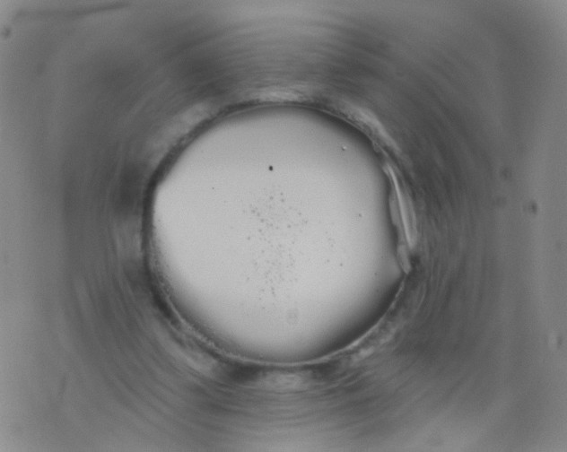 X0000076060299200610152209