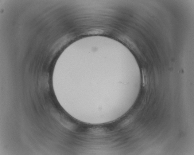 X0000076060300200610152209