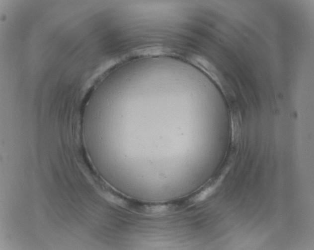 X0000076060301200610152209