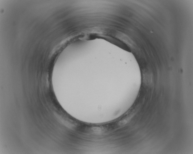 X0000076060302200610152209