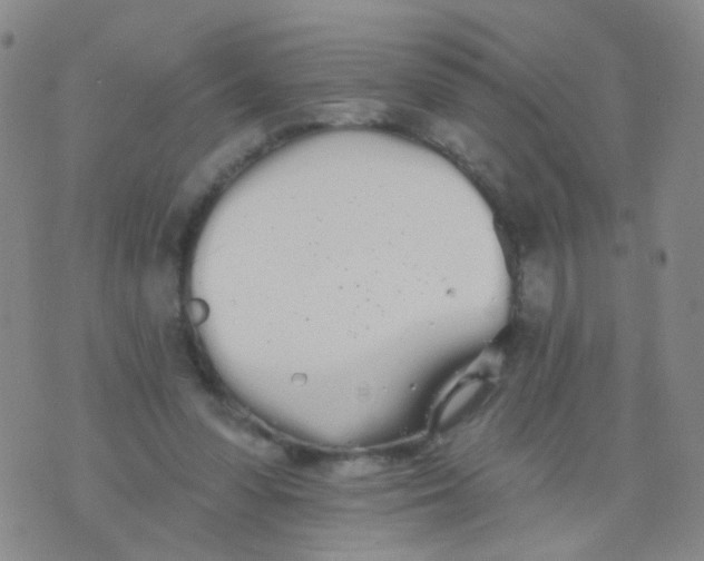 X0000076060303200610152209