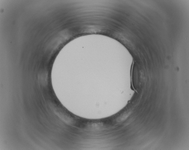 X0000076060304200610152209