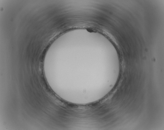 X0000076060305200610152209