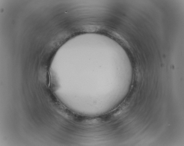 X0000076060307200610152209