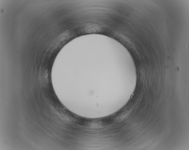 X0000076060308200610152209