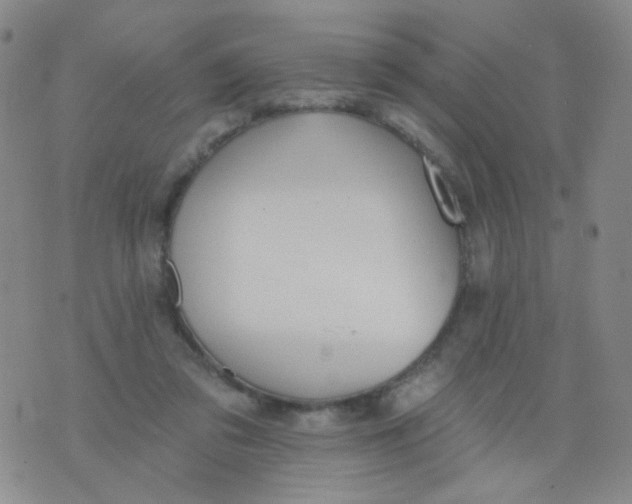 X0000076060309200610152209