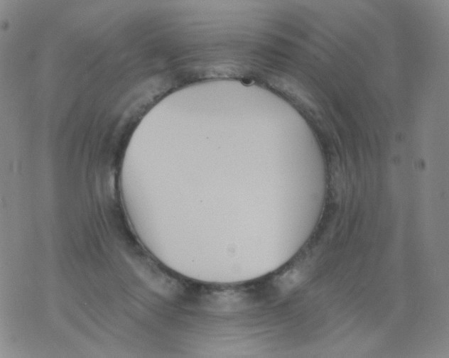 X0000076060310200610152209