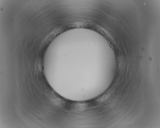 X0000076060313200610152209