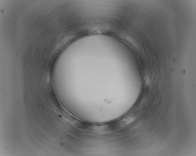 X0000076060314200610152209