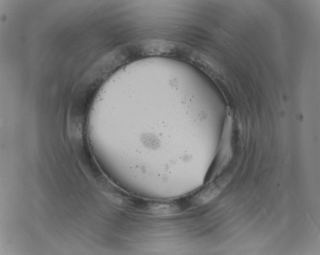 X0000076060315200610152209