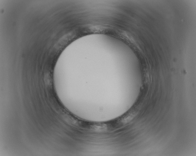 X0000076060317200610152209