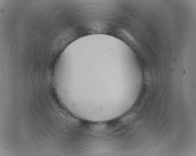 X0000076060318200610152209