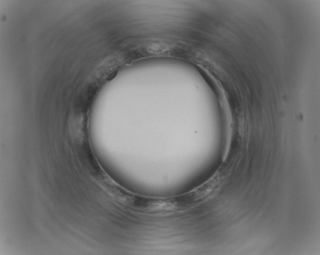 X0000076060319200610152209