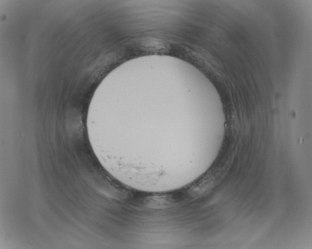 X0000076060320200610152209