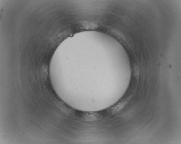 X0000076060321200610152209