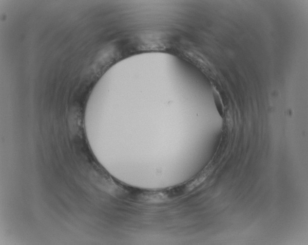 X0000076060322200610152209