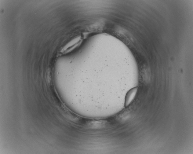 X0000076060323200610152209