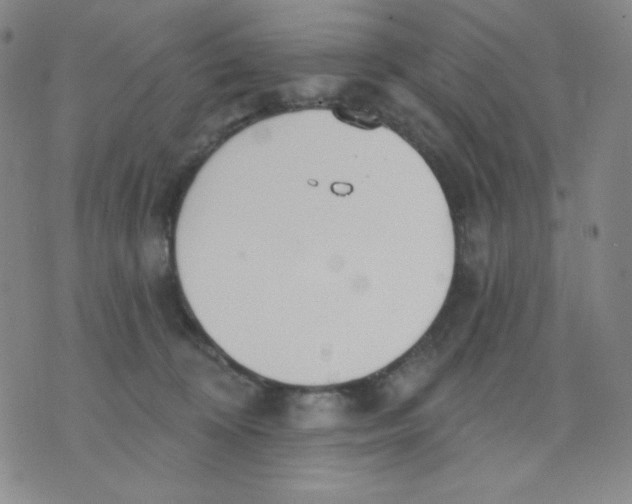 X0000076060324200610152209