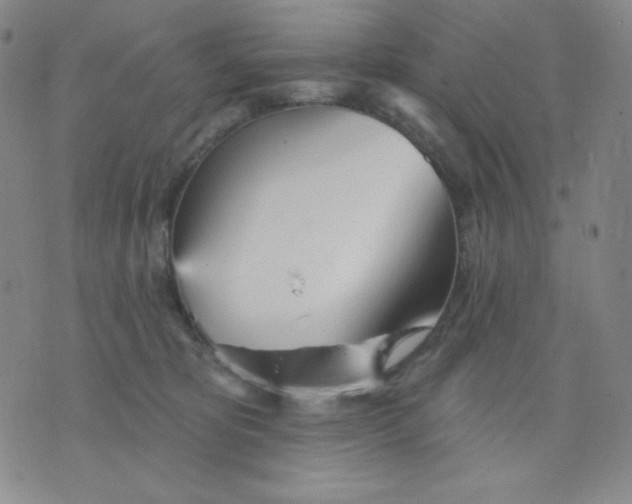 X0000076060325200610152209