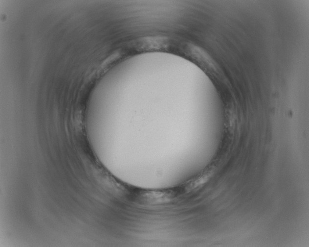 X0000076060326200610152209