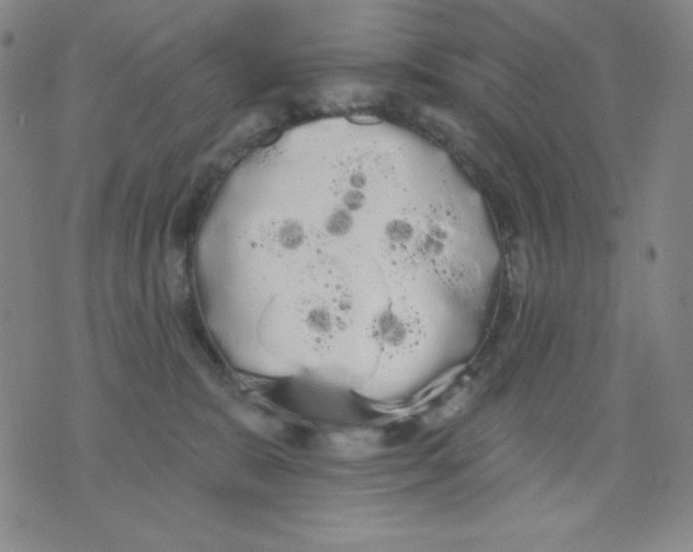 X0000076060327200610152209