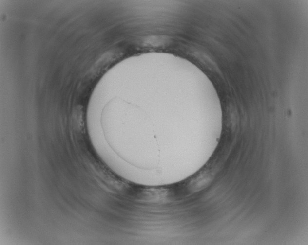 X0000076060328200610152209