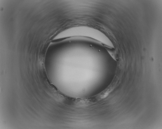 X0000076060329200610152209