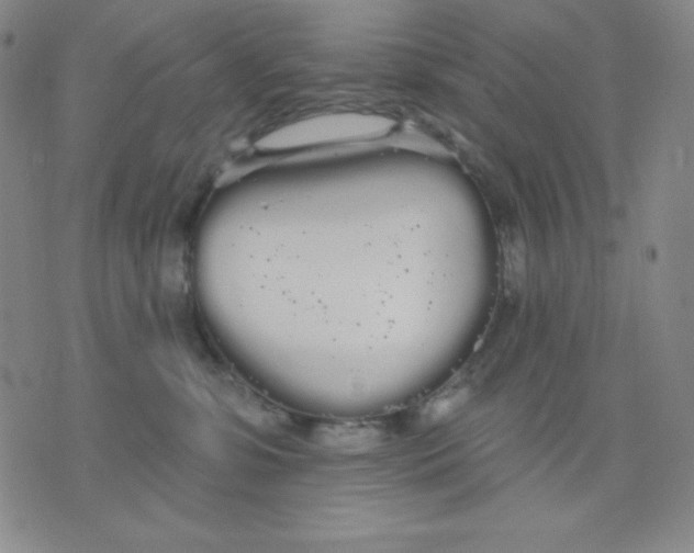 X0000076060331200610152209