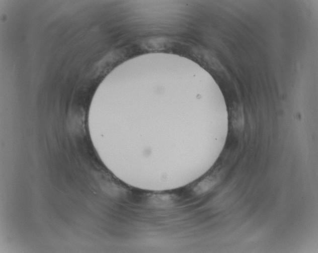 X0000076060332200610152209